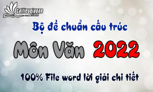 Bộ đề phát triển theo cấu trúc đề minh họa 2022 - Môn Ngữ Văn - File word có ma trận lời giải chi tiết